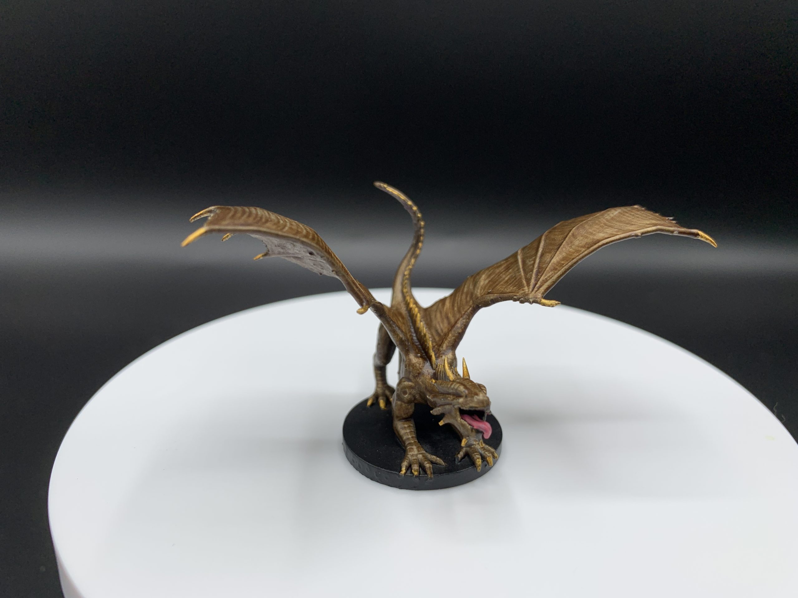 Bronze Dragon
